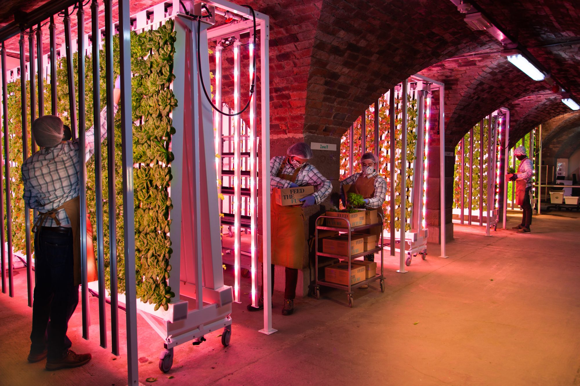 Farm Urban's site in Liverpool's Baltic Triangle.