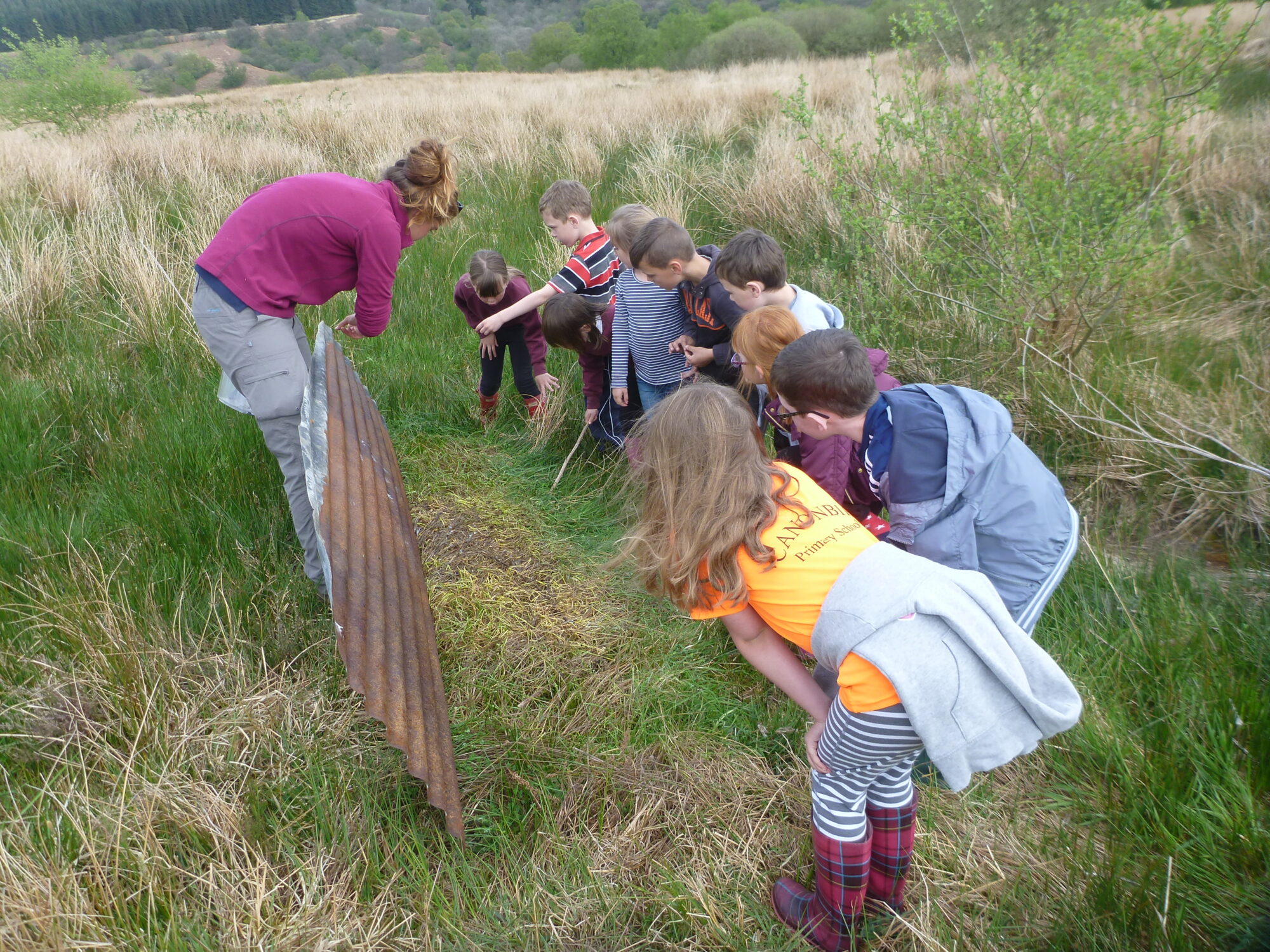Eight children gather around a female instructor who is pointing out insects on a piece of metal at the Tarras Valley Nature Reserve's rewilding project.
