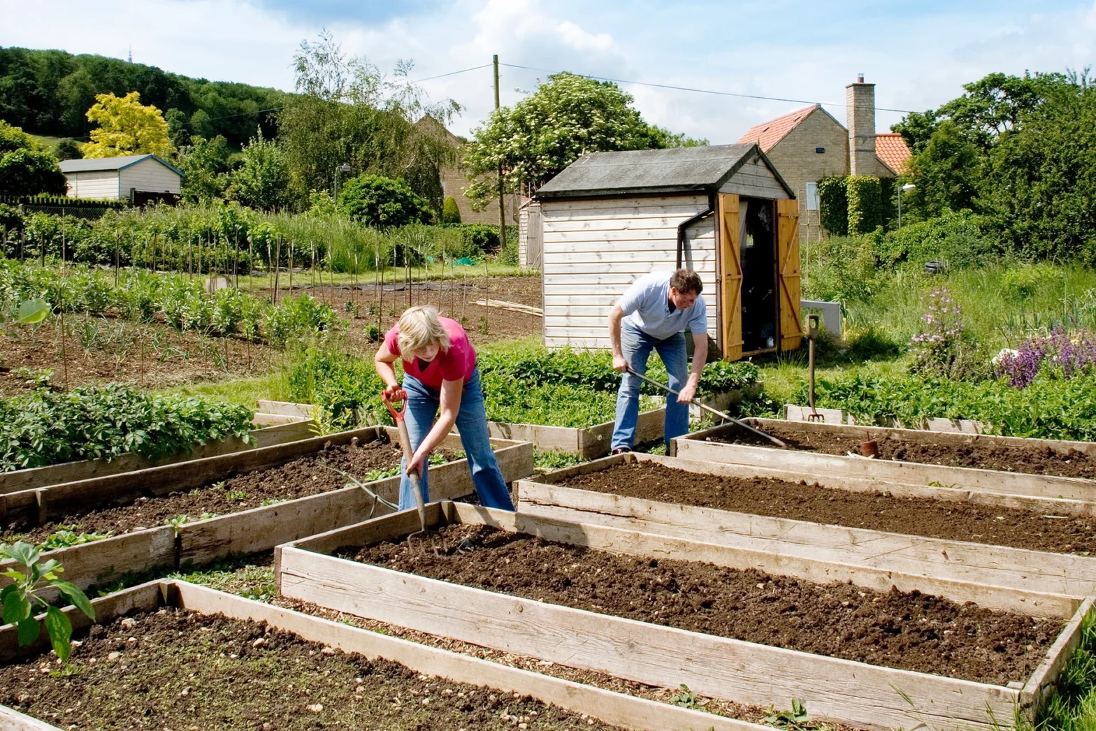 Putting the ‘Sustain’ into Sustainability