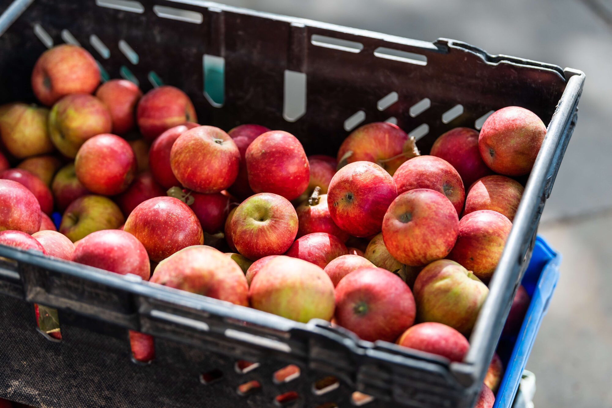 Surplus food, like this crate of apples, can be collected from farms, food manufacturers or distributors.