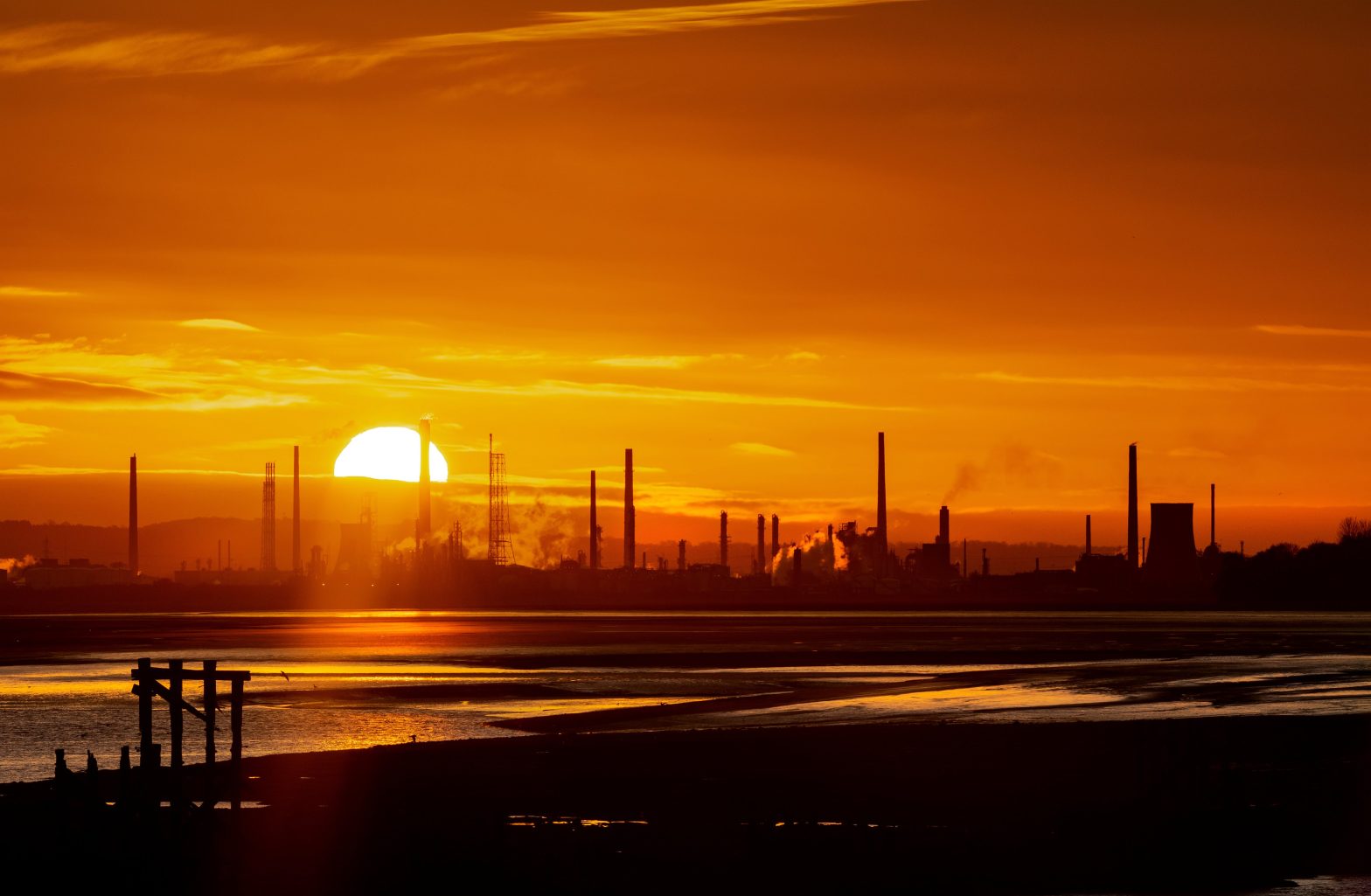 What Is Carbon Reduction and How Do We Achieve a Low-Carbon Future?