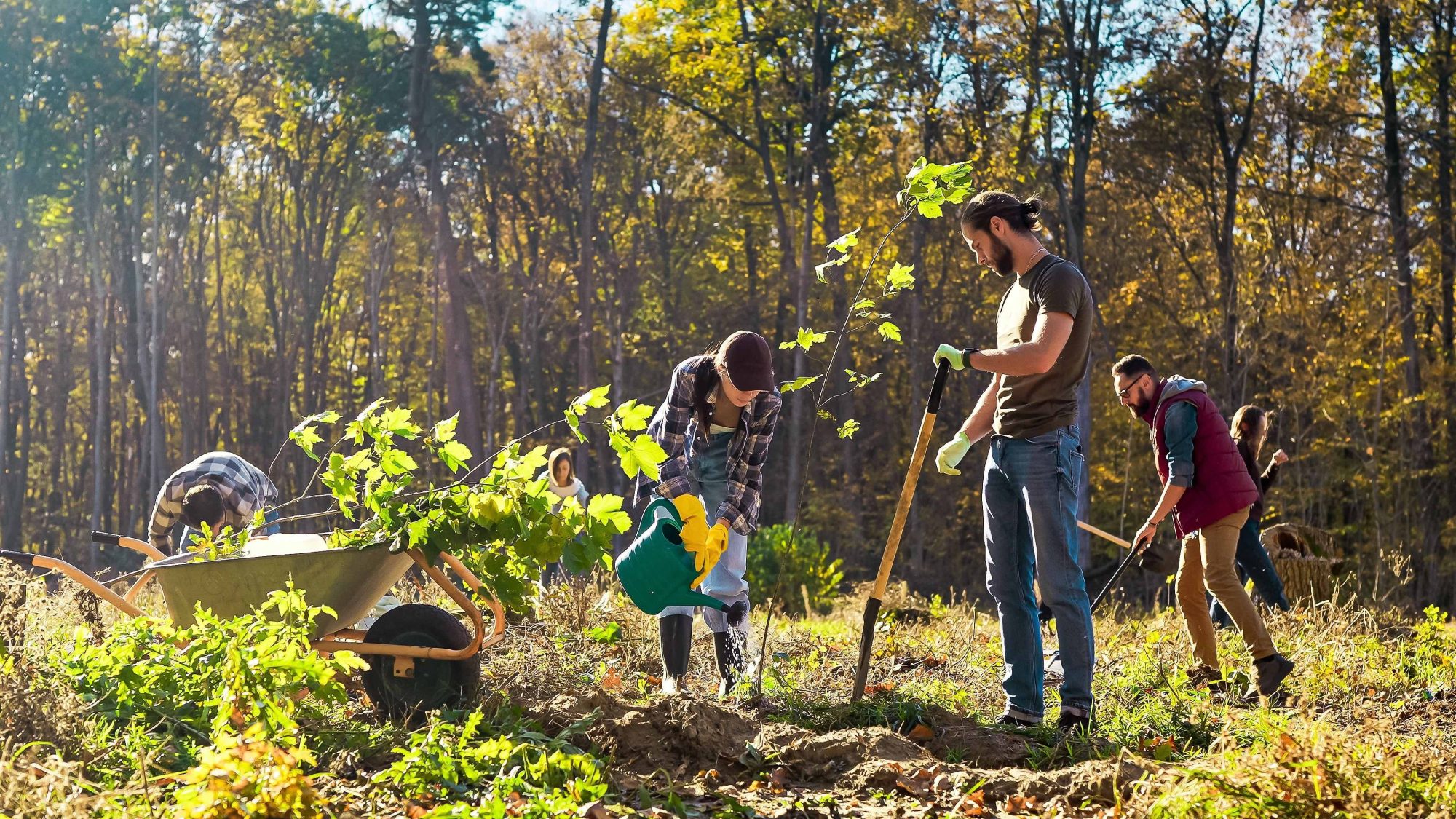Team planting trees. Cover of Changeprint research report