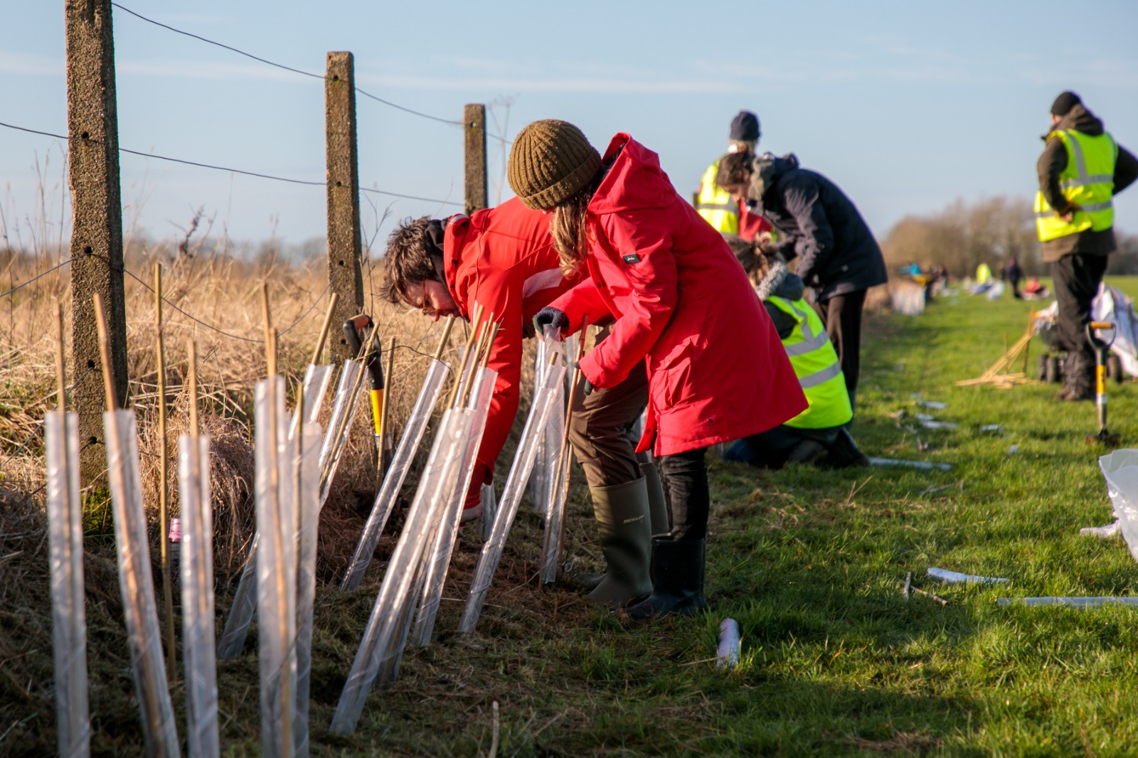 Harborough Woodland volunteers planting new hedgerows.